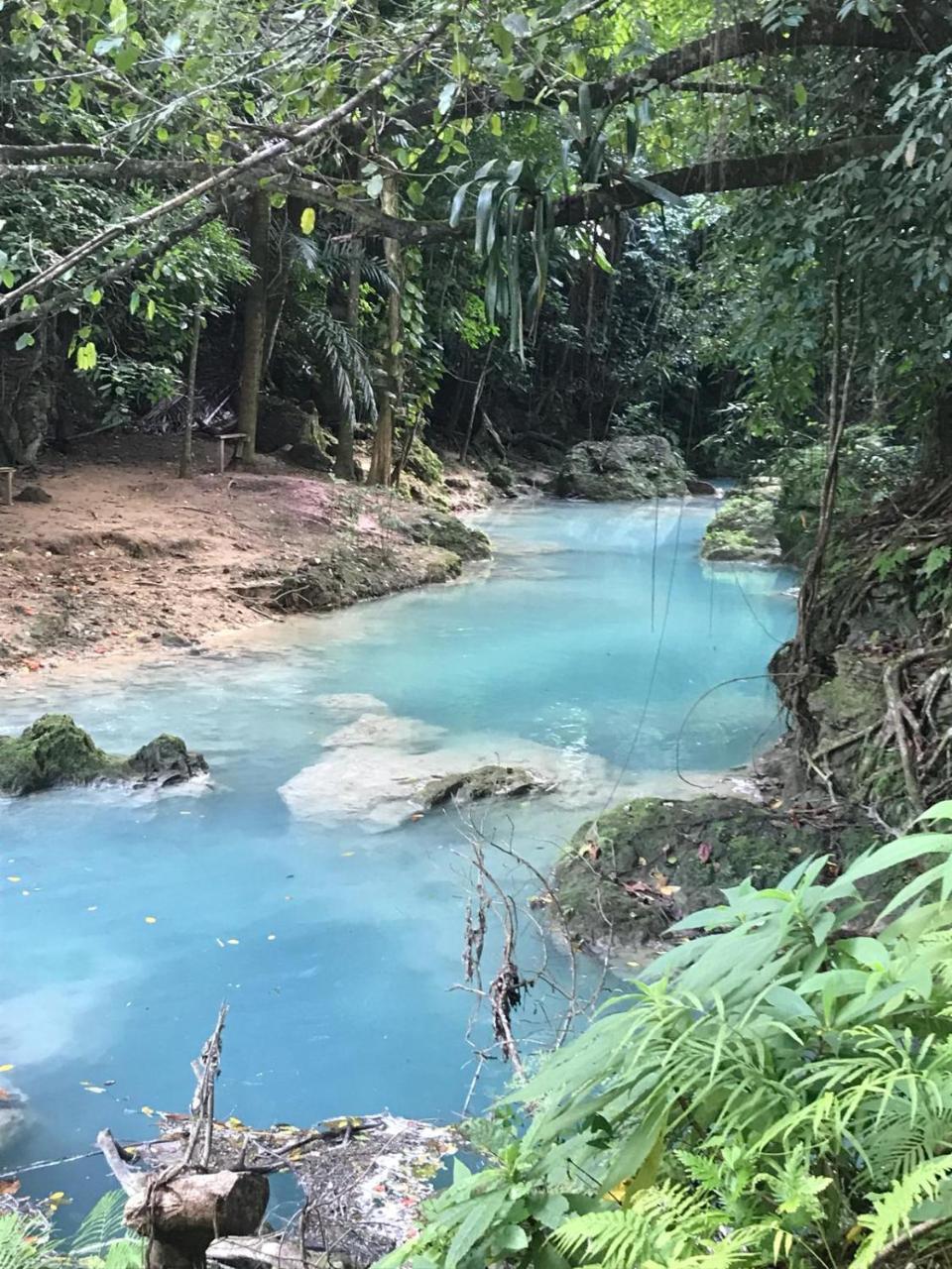 Mystic Ridge Paradise Ocho Rios Dış mekan fotoğraf